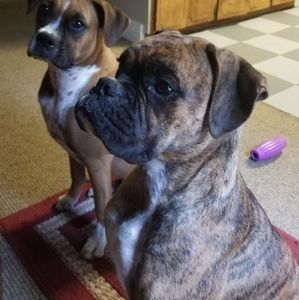 Meet your Posher, Barbara